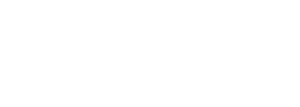 NST logo